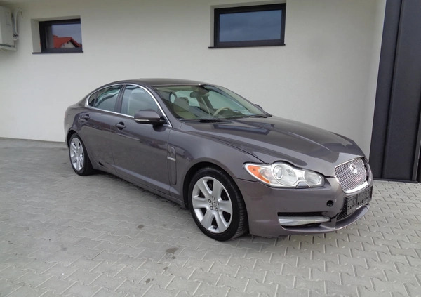 Jaguar XF cena 17900 przebieg: 187000, rok produkcji 2010 z Stargard małe 172